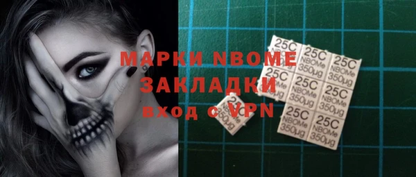 шишки Абаза