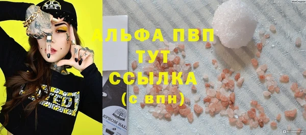 стафф Алзамай